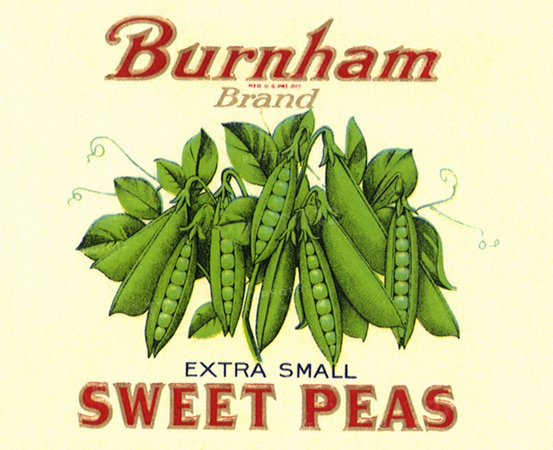 Sweet Peas
