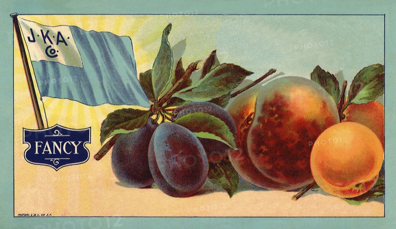 Apricot Fruit Label