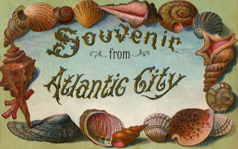 Seashell Postcard