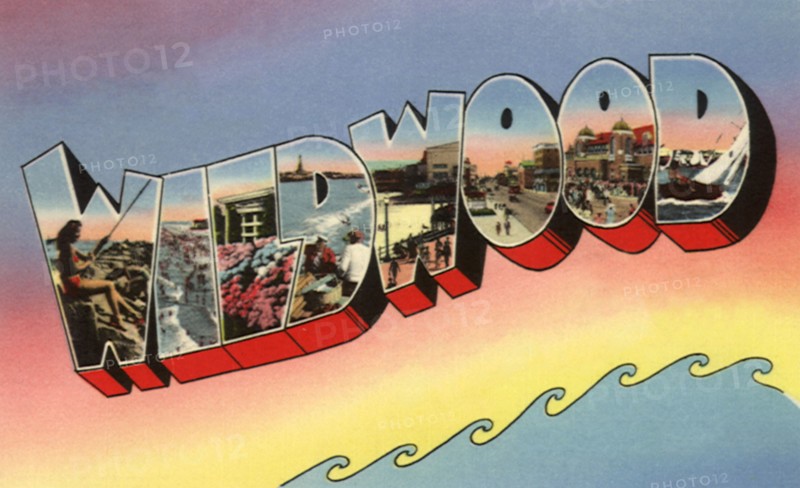 Wildwood Greetings
