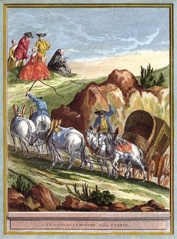 Struggling Horses