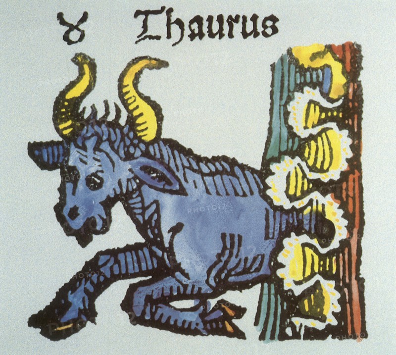 Taurus the Bull.