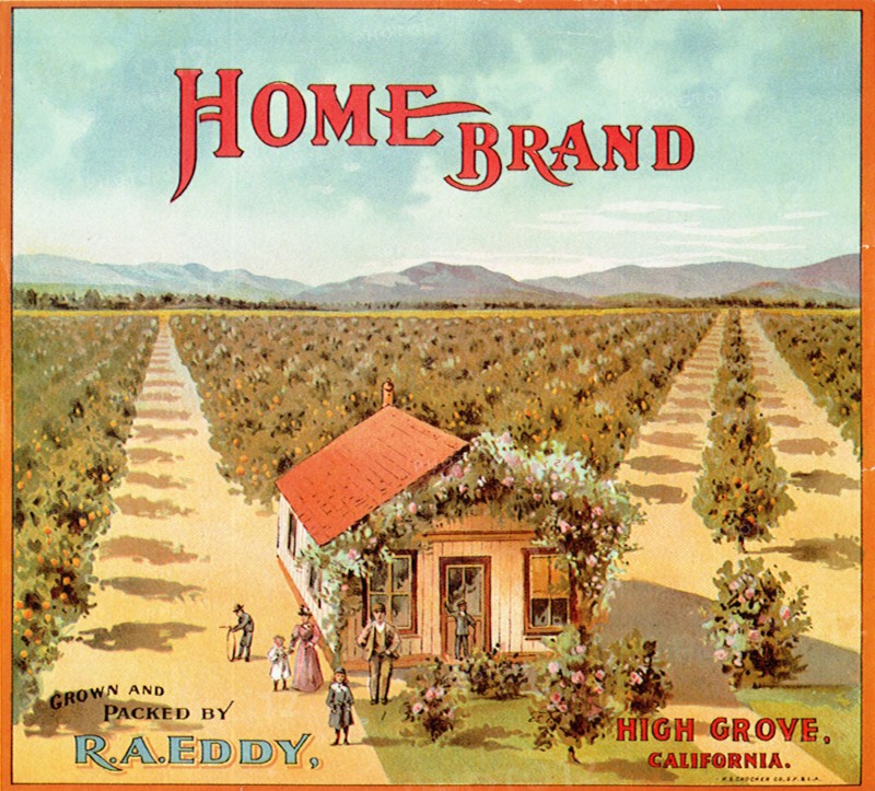 House in Orange Grove.