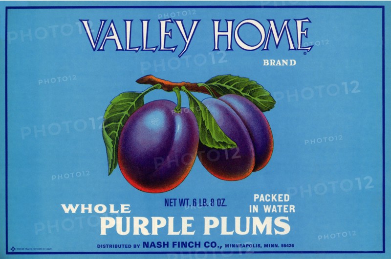 Ripe Plums.