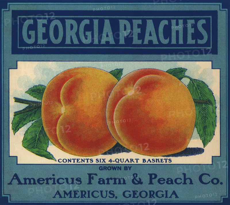 Georgia Peaches.
