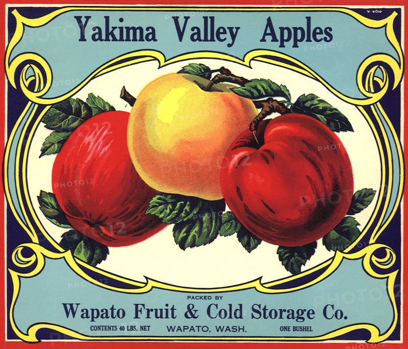 Three Ripe Apples.