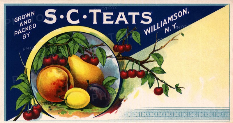 Circle of Fruit.