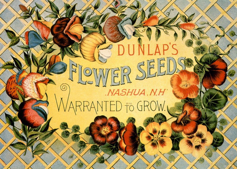 Dunlap's Flower Seeds.
