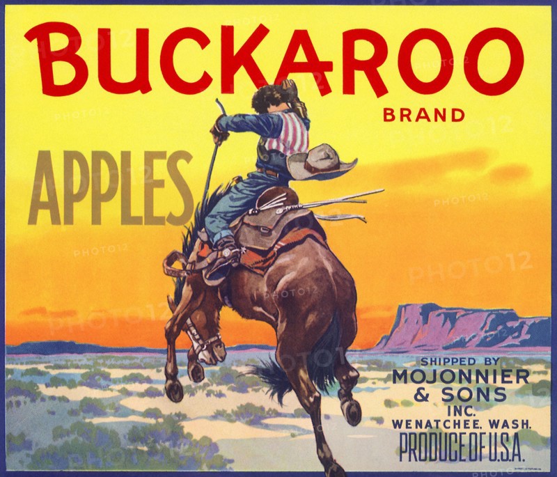 Bucking Bronco.