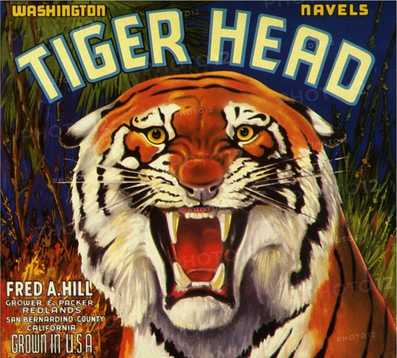 Tiger Fruit Label.