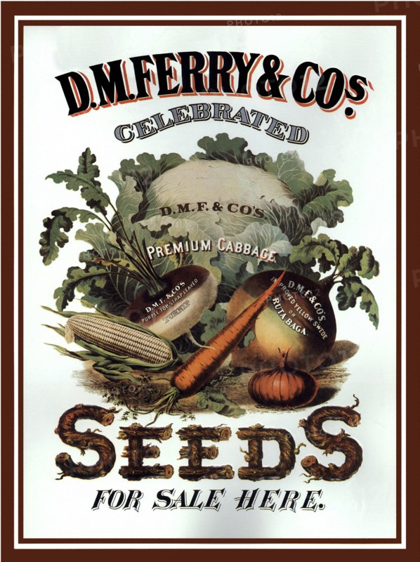 Vegetables.