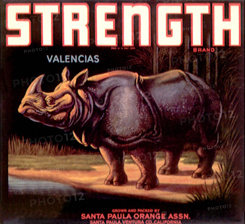Strength.