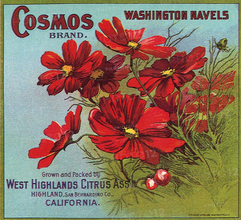 Red Flowers on Label.