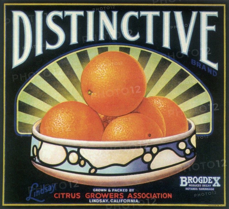 Bowl of Oranges.
