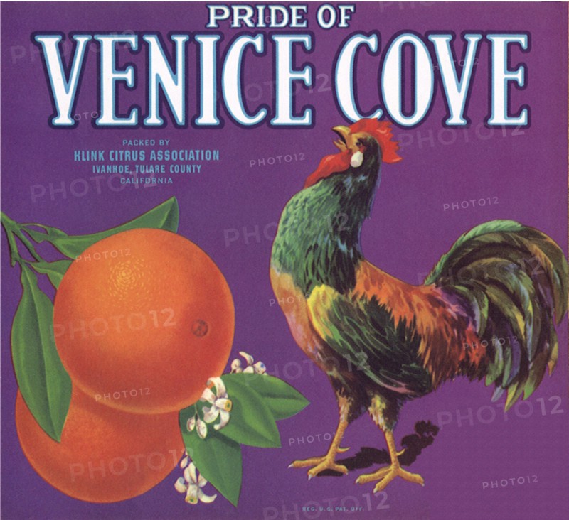 Rooster Fruit Label.