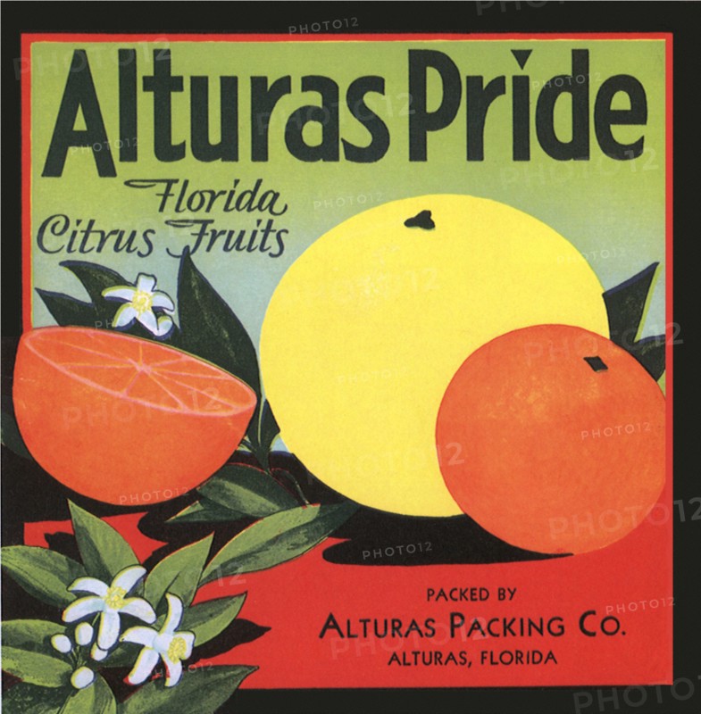Citrus Fruit Label.