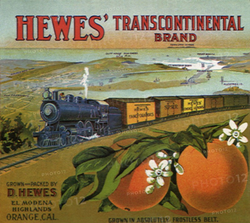 Train Fruit Label.