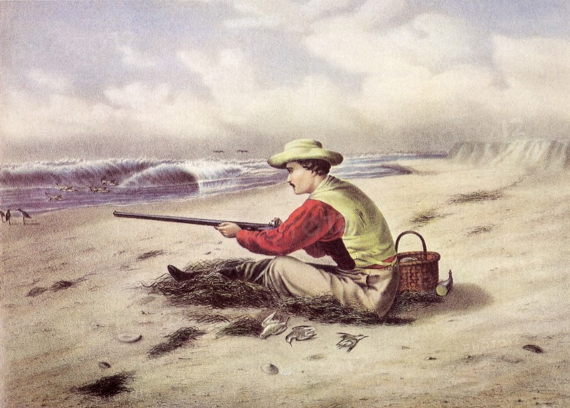 Beach Snipe Shooting.