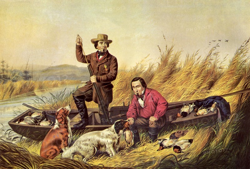 Wild Duck Shooting- A Good Day's Sport.