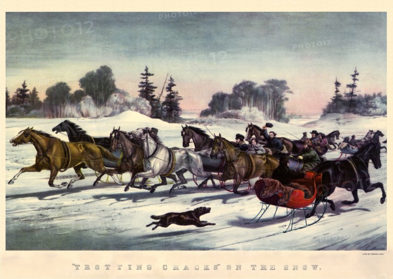 Trotting Cracks on The Snow.