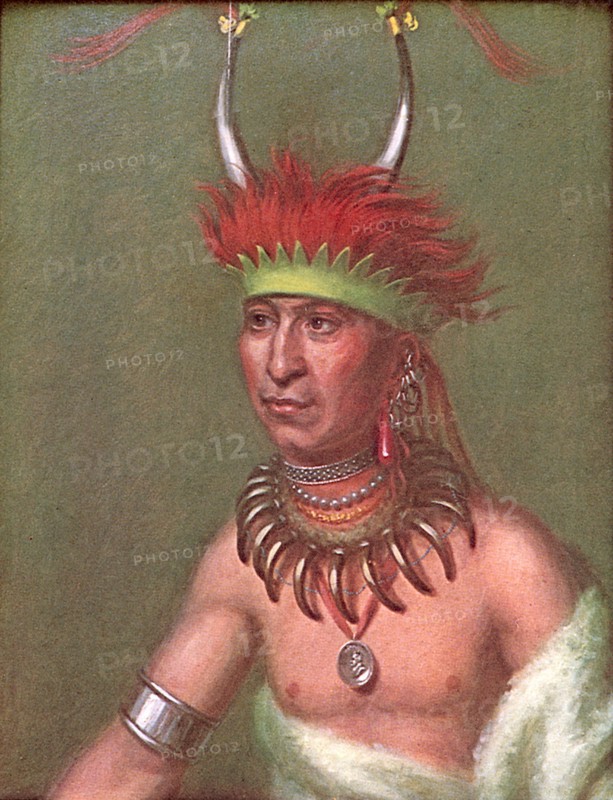 Shaumonekusse.