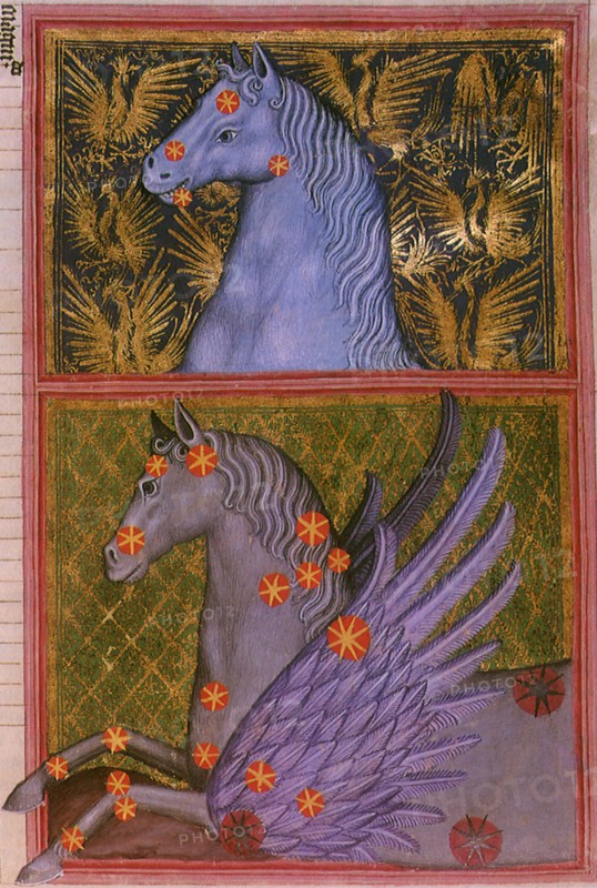 Pegasus and Equuleus.