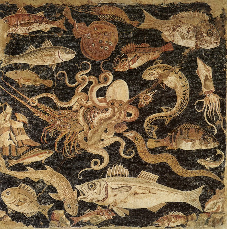 Mellenistic Fish Mosaic.