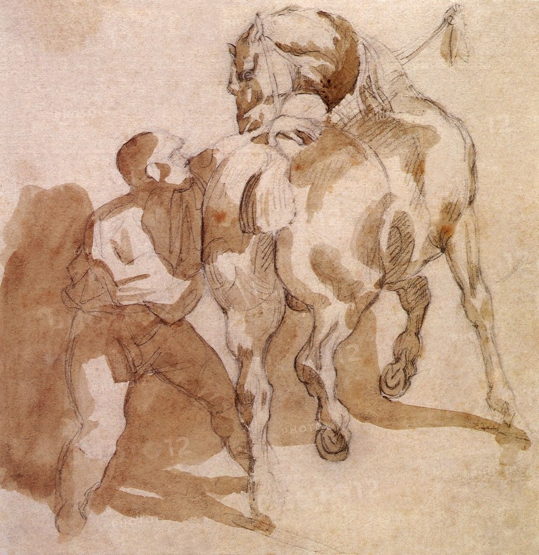 Stable Boy Grooming a Horse.
