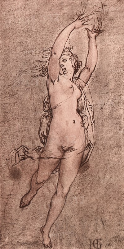 Daphne.