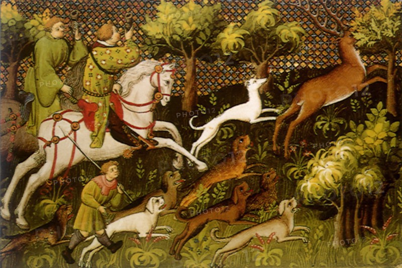 Hunter and Hounds on Stag Hunt.