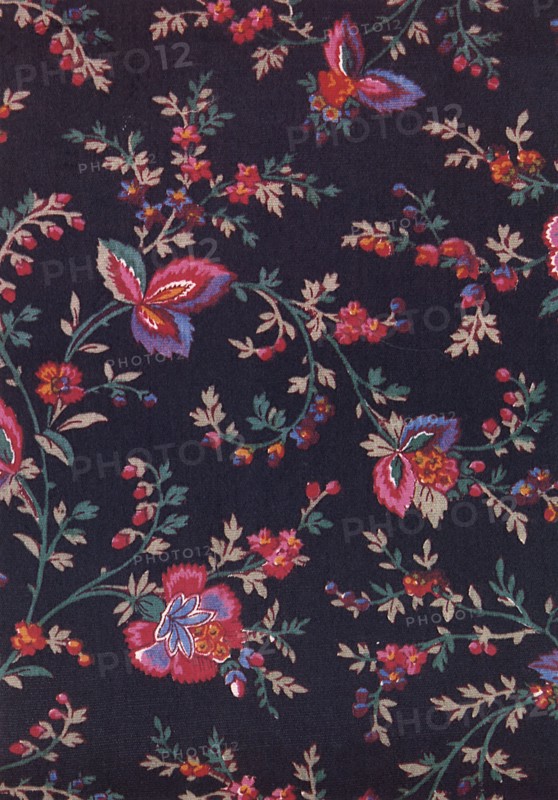 Green leaves and stems with red flowers on dark field.
