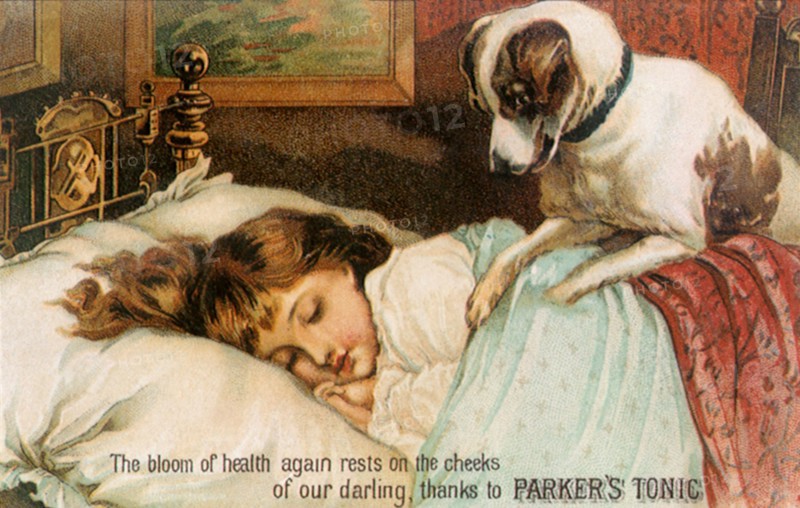 Dog wakes Little Girl.