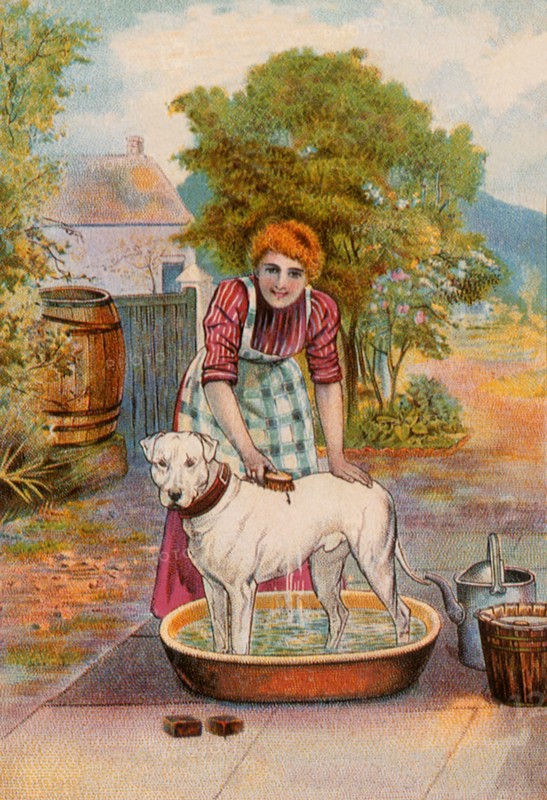 Woman gives Dog a Bath.