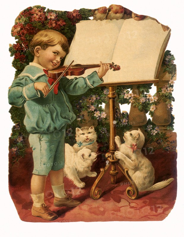 Boy plays Violin with Cats.