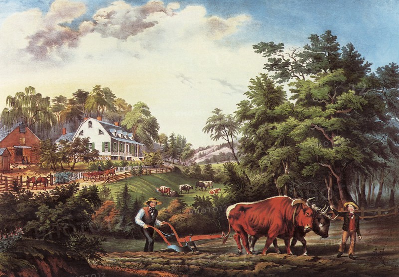 American Farm Scenes.