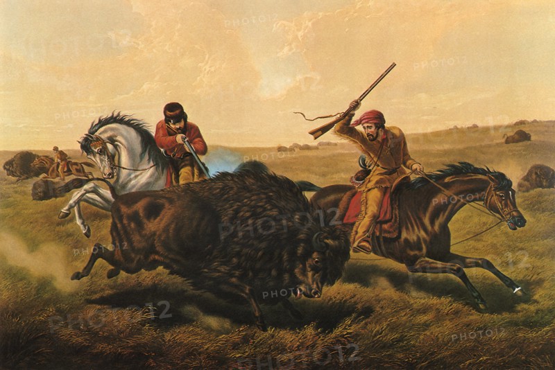 Life on the Prairie, The 'Buffalo Hunt'.