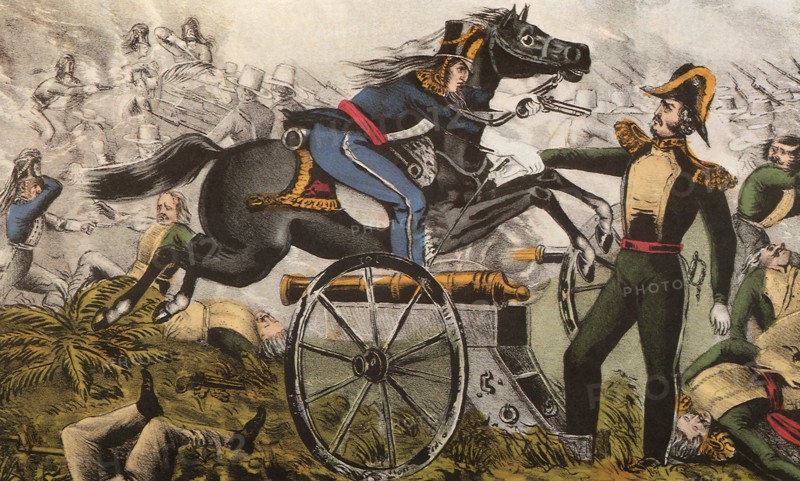 Battle of Resaca de la Palma.