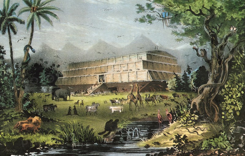 Noah's Ark.