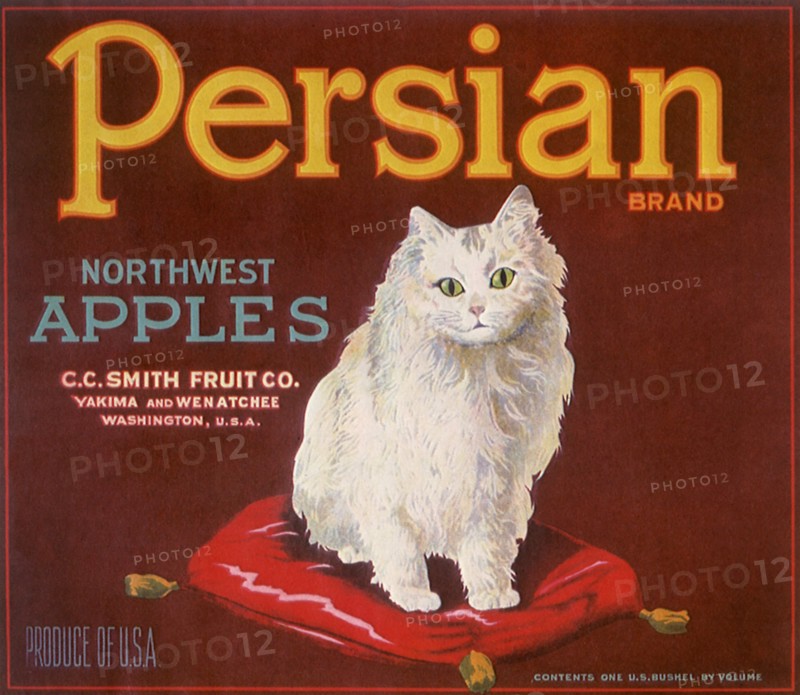 Persian Northwest Apples.