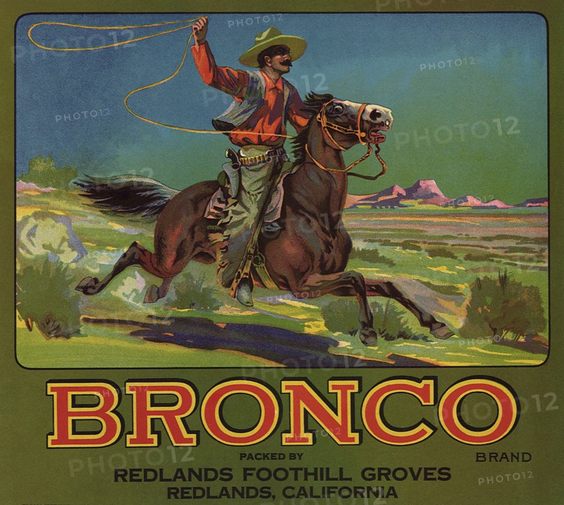 Bronco Cowboy with Lasso on horseback.