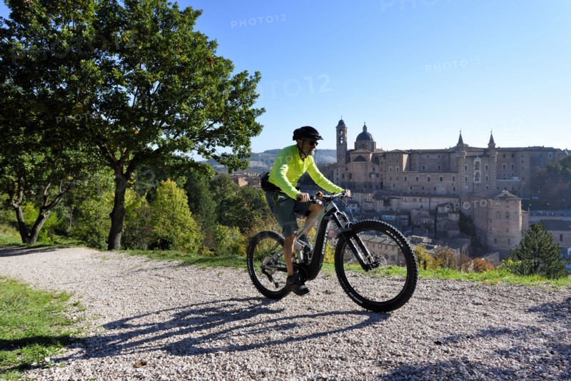 Urbino (Marche - PU)