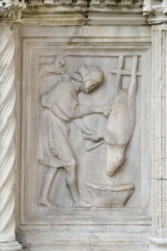 Perugia (Umbria - PG)