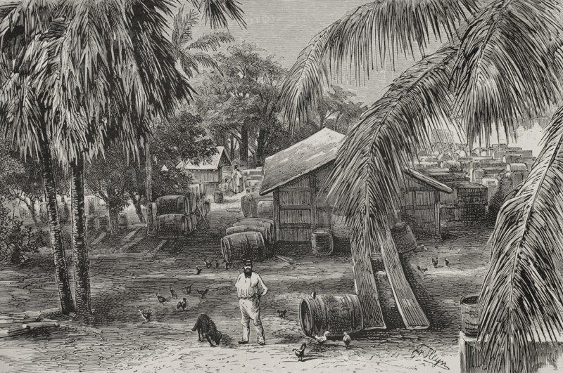 History of Africa