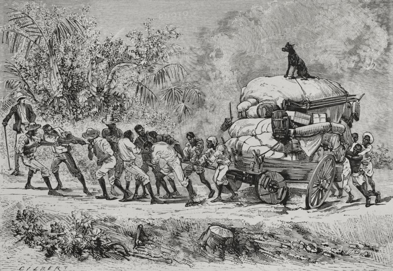 History of Africa