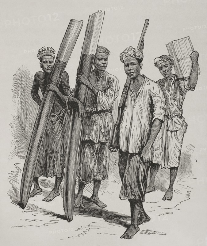 History of Africa