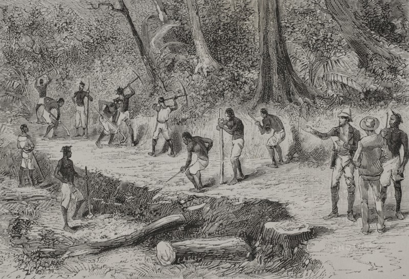 History of Africa