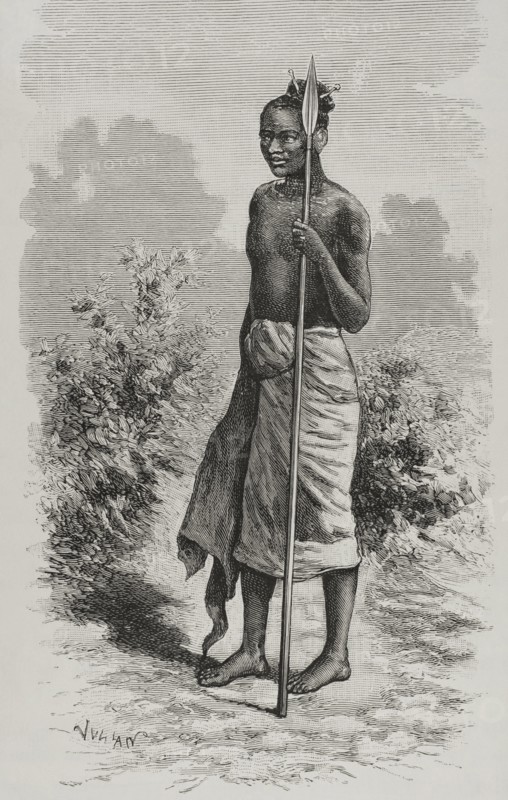 History of Africa