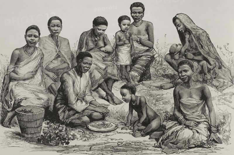 History of Africa