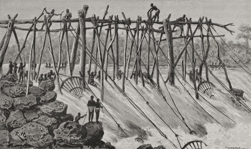 History of Africa