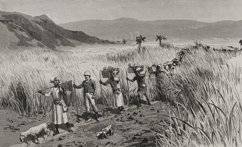 History of Africa
